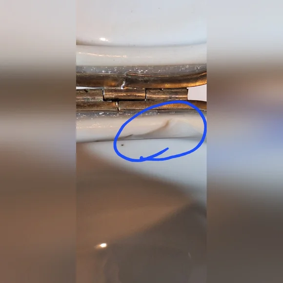 🥀RS PRUSSIAN porcelain powder jar - Picture 8 of 8